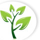 PNG image
